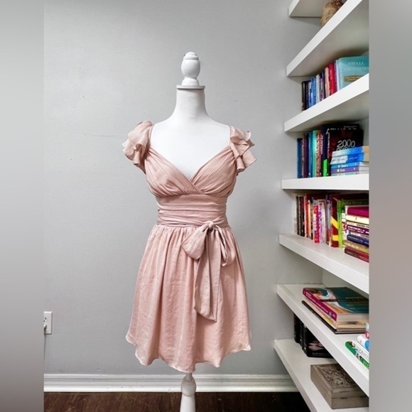 Saints & Secrets Blush Satin Dress Size Small NWT - Picture 1 of 16